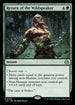 LCC 252 Return of the Wildspeaker R