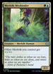 LCC 276 Merfolk Mistbinder U