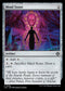 LCC 309 Mind Stone C