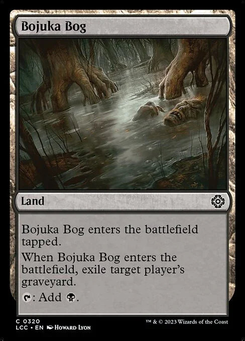 LCC 320 Bojuka Bog C