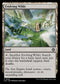 LCC 328 Evolving Wilds