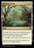 LCC 362 Thriving Grove