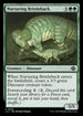 LCI 203 Nurturing Bristleback C