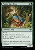 LCI 207 Poison Dart Frog C