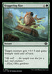 [Foil] LCI 214 Staggering Size C