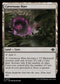 LCI 270 Cavernous Maw U