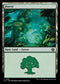 LCI 401 Forest (0401) L