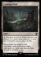 LTC 306 Evolving Wilds