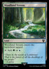 LTC 347 Woodland Stream C