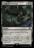 [Foil] LTR 081 Claim the Precious C