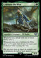 LTR 156 Celeborn the Wise U