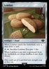 [Foil] LTR 243 Lembas C