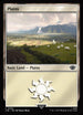 LTR 262 Plains (0262) L