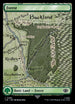 LTR 280 Forest (0280) L