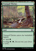 M3C 398 Tranquil Thicket C