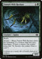 MH2 161 Funnel-Web Recluse C