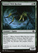 MH2 161 Funnel-Web Recluse C