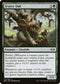 MH2 172 Scurry Oak U