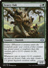 MH2 172 Scurry Oak U
