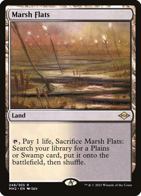MH2 248 Marsh Flats