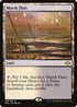 MH2 248 Marsh Flats