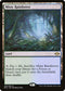 MH2 250 Misty Rainforest