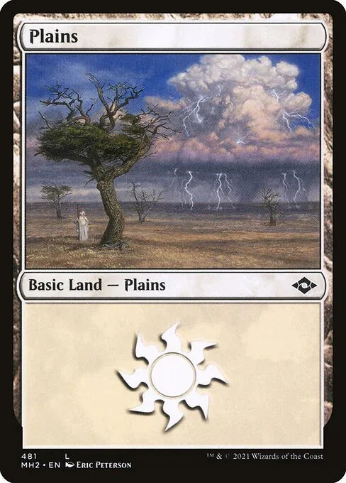MH2 481 Plains (481) L