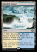 [Foil] MH3 220 Flooded Strand R