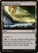 MIC 166 Blighted Woodland U