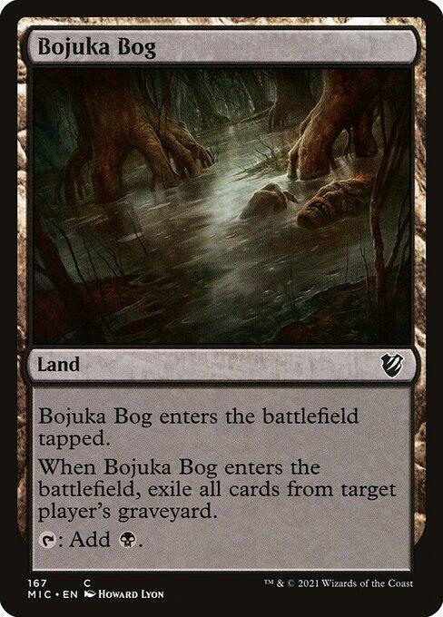 MIC 167 Bojuka Bog C