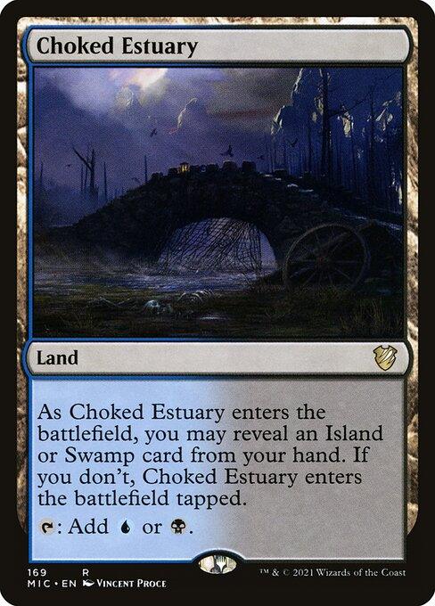 MIC 169 Choked Estuary R