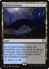 MIC 169 Choked Estuary R