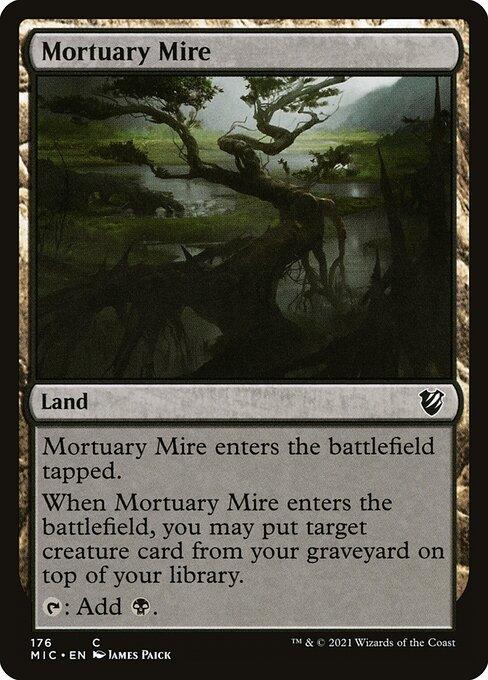 MIC 176 Mortuary Mire C