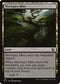 MIC 176 Mortuary Mire C