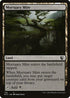 MIC 176 Mortuary Mire C