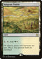 MIC 181 Sungrass Prairie R