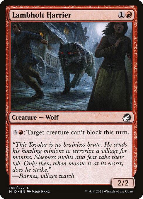 [Foil] MID 145 Lambholt Harrier C