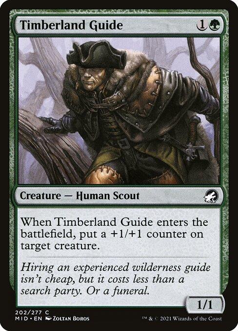 [Foil] MID 202 Timberland Guide C