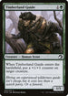 [Foil] MID 202 Timberland Guide C