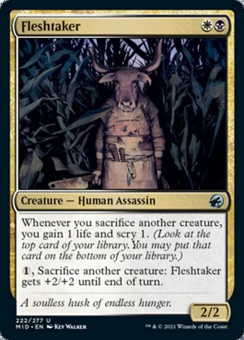 MID 222 Fleshtaker U