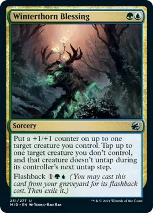 MID 251 Winterthorn Blessing U