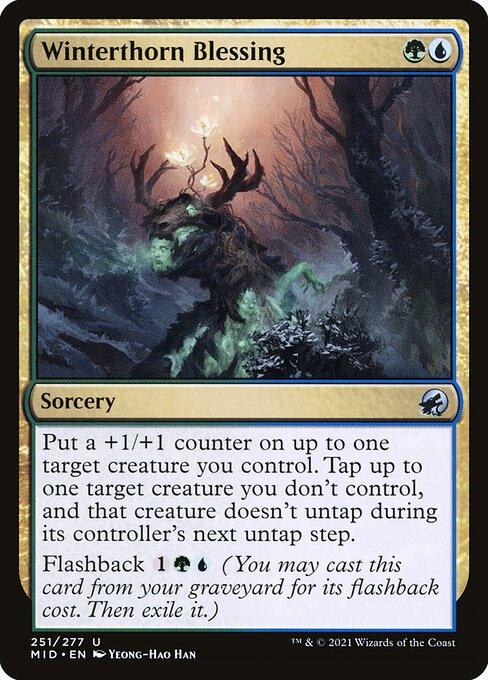 [Foil] MID 251 Winterthorn Blessing U