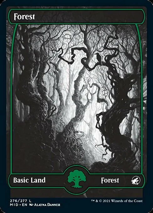 MID 276 Forest (276) L
