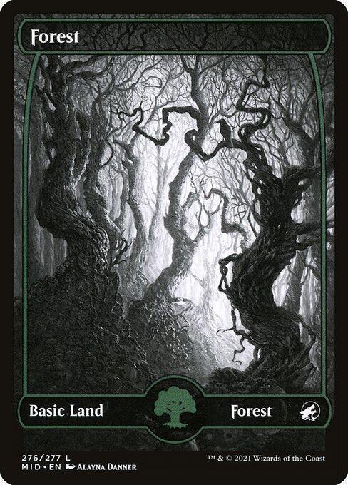 [Foil] MID 276 Forest (276) L