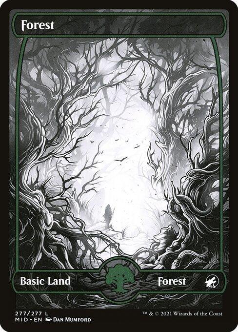 [Foil] MID 277 Forest (277) L
