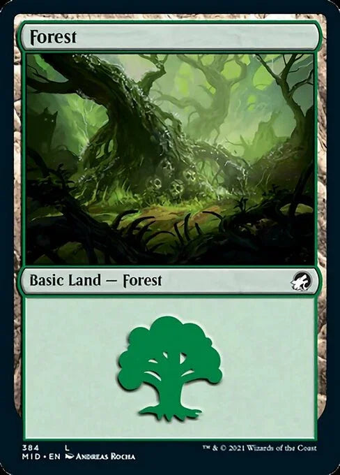 MID 384 Forest (384) L