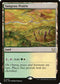 MOC 427 Sungrass Prairie R
