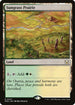MOC 427 Sungrass Prairie R