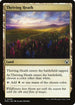 MOC 440 Thriving Heath C