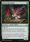 MOM 199 Placid Rottentail C
